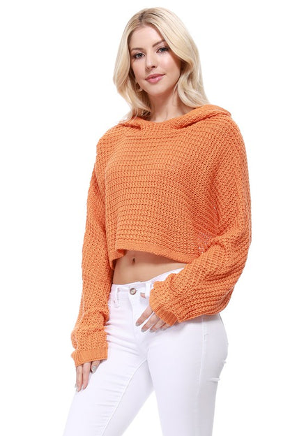 Bat Wing Sleeve Crop top Waffle Knit Hoodie Top