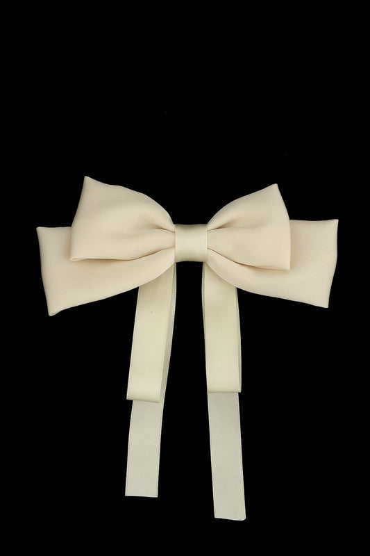 Ribbon Shape Hair Pin